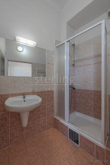 Prodej bytu 3+1, 74 m2, Velehradská, Praha 3, Vinohrady - 16