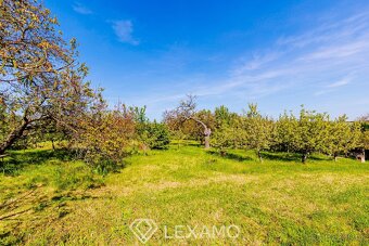 Prodej zahrady, 877 m2 - Šatov, ev.č. 00257 - 16