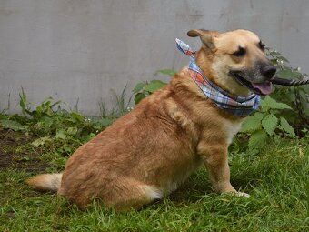 Odin hledá domov - 16