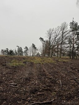 Prodám pozemky v k.ú. Veliny - 16