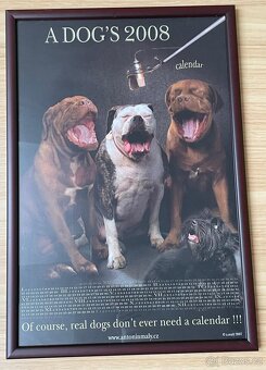 Foto Obrazy Antonín Malý s motivy psů 3 ks - 16