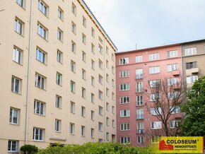 Brno - Veveří - byt OV 2+kk, 53 m2, rekonstrukce, balkon, pa - 16