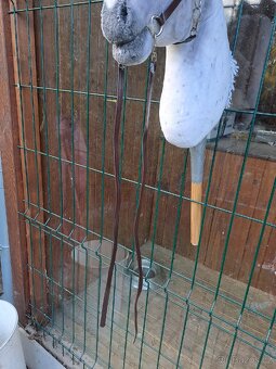Hobby Horse - 16
