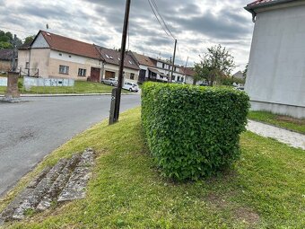 Údržba zeleně Hubáček - 16