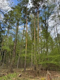 Prodám pozemky v katastrálním území Mníšek - 16