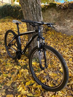 Kolo Specialized 29 - 16