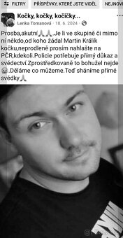 Zlín kočka - 16