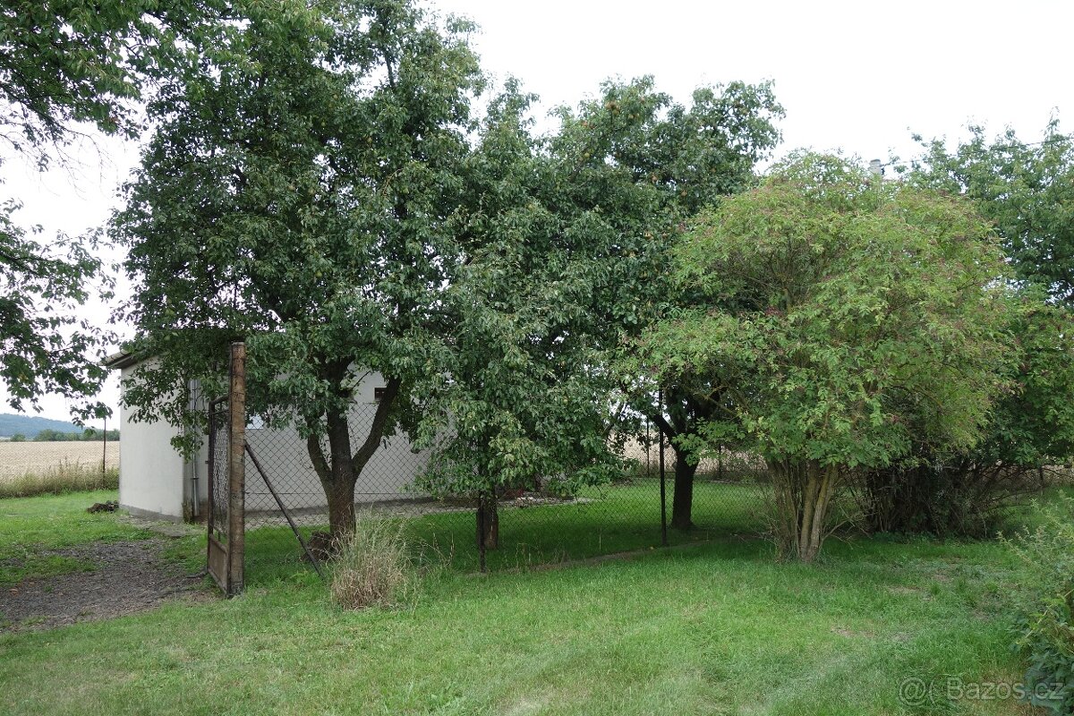 Zahrada - polosamota - 17