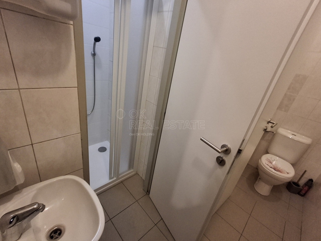 Pronájem ostatní komerční nemovitosti, 119 m² - Kolín IV - 17