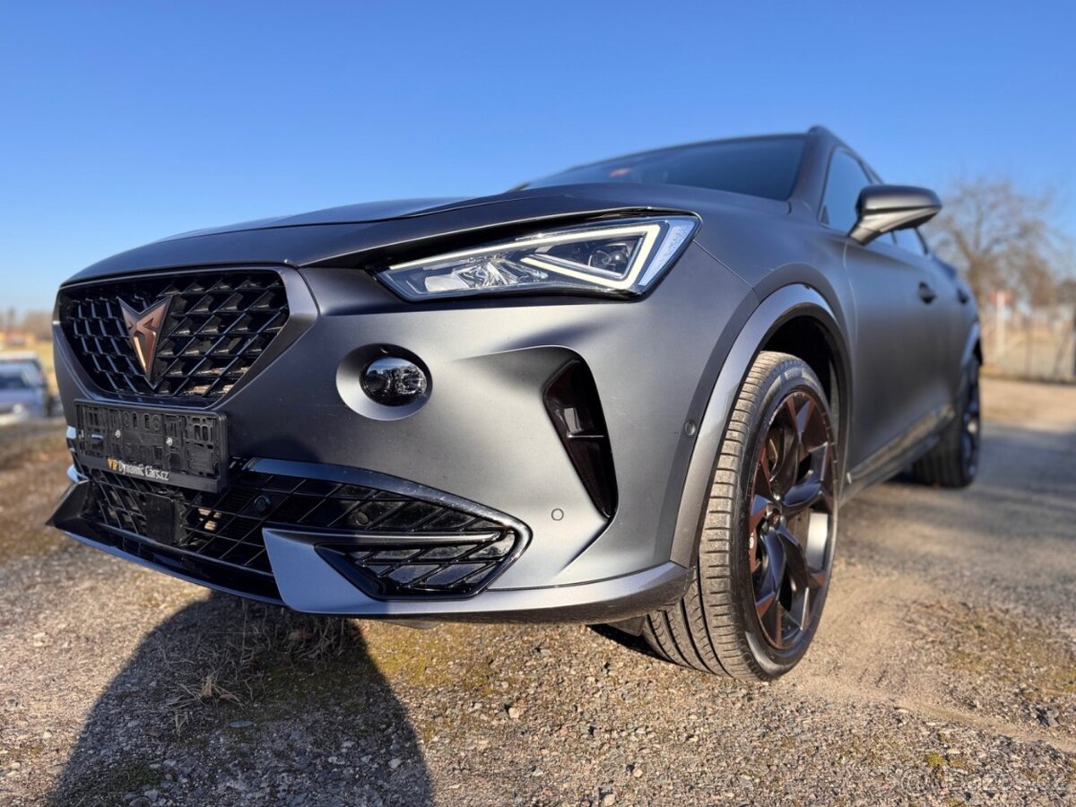 Cupra Formentor VZ 2.0 TSI DSG 4Drive 310k - 17