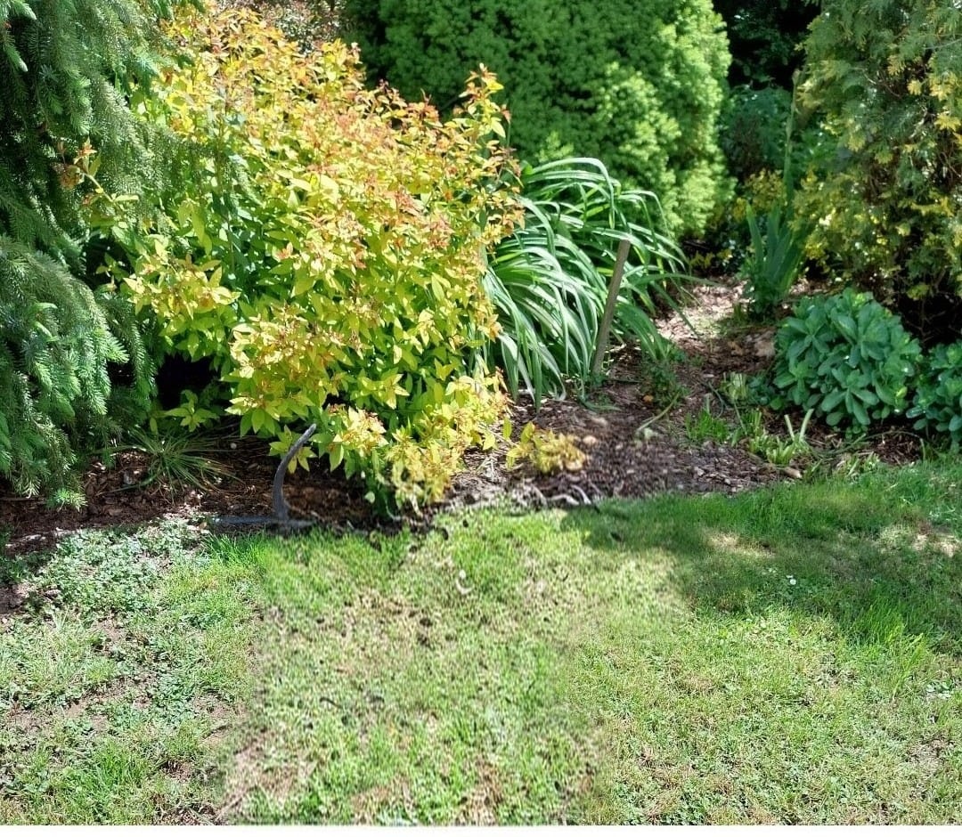 Prodej RD Chlebov s bazénem - 17