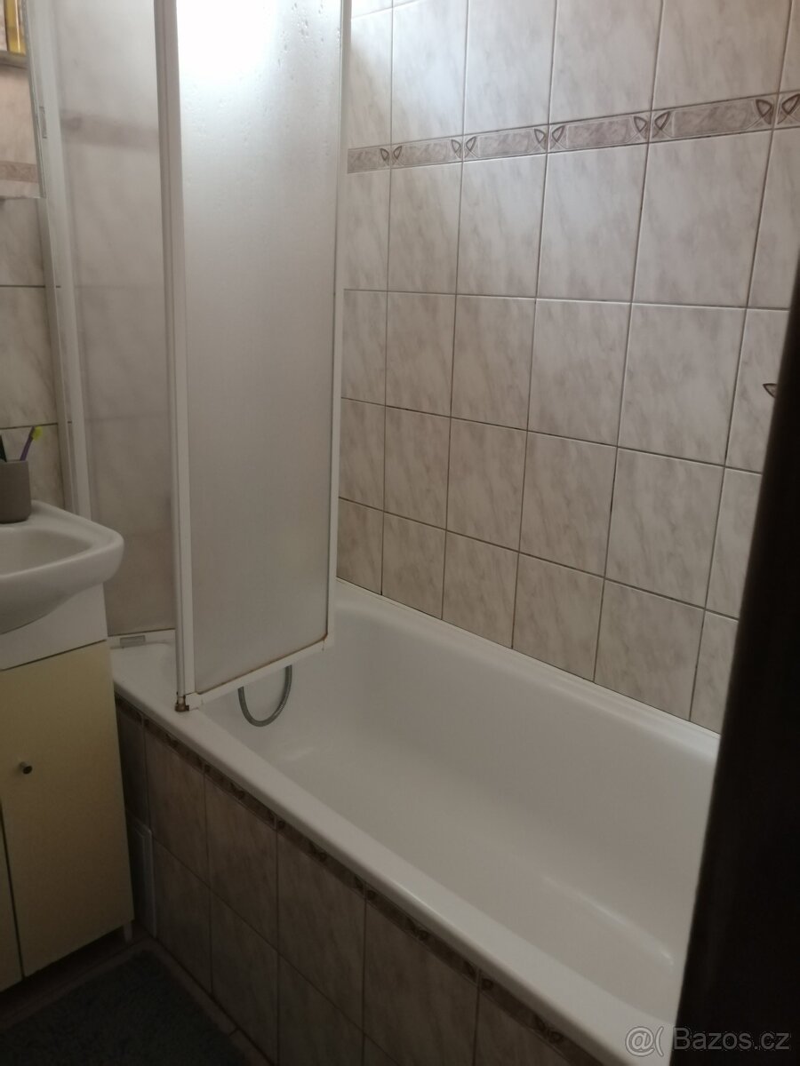 Prodej bytu 3+1 69 m² se zahrádkou a garáží v obci Okrouhlá - 17