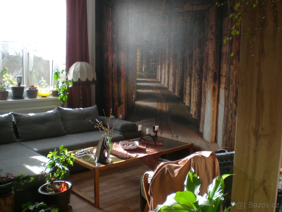 Pozemek zdarma k bytu - 17