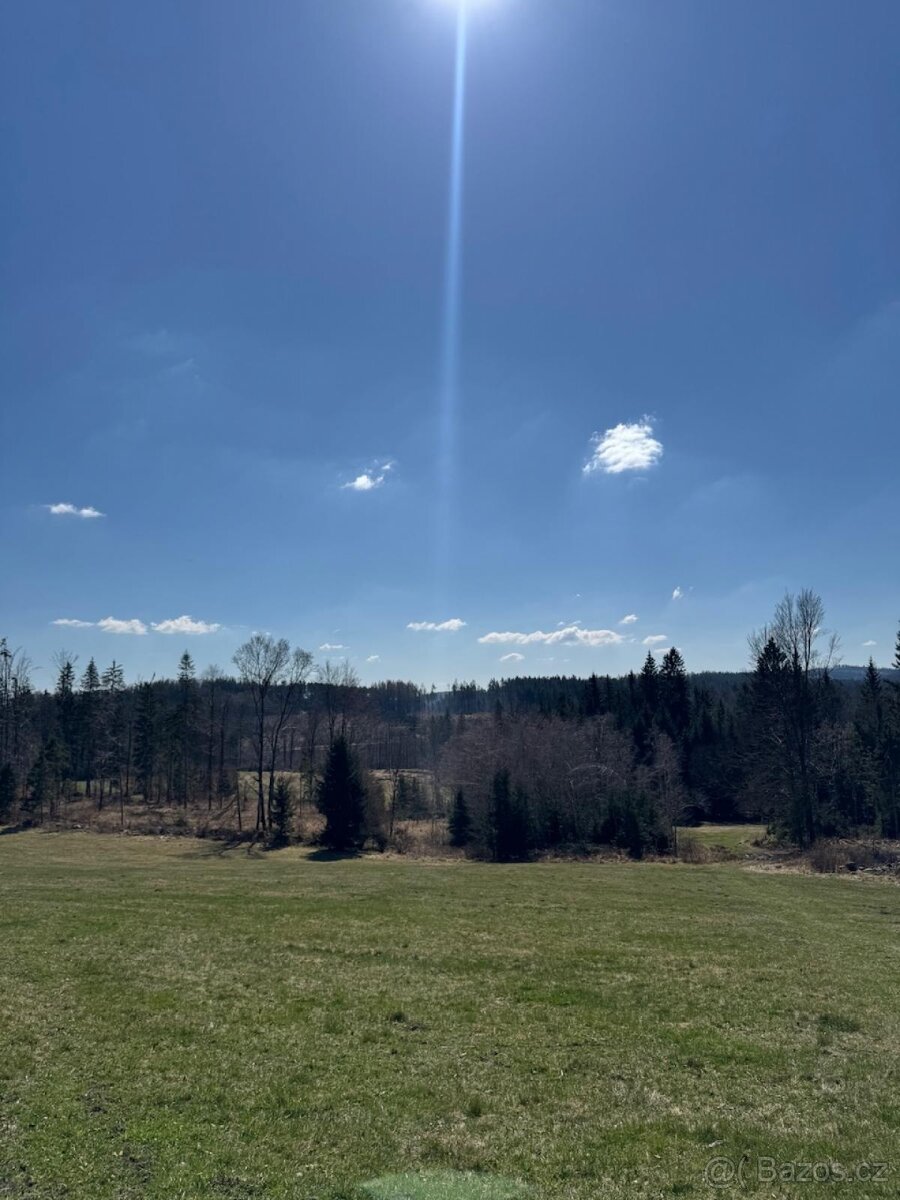 Prodám pozemky v k.ú. Horní Bolíkov Studená, okres Jindřichů - 17