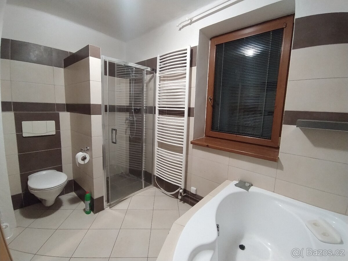 PRONÁJEM BYTU V RODINNÉM DOMĚ V KNĚŽPOLI (UH) - 17