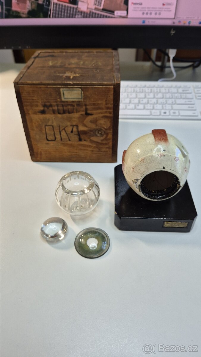 Starožitný model oka, Bock Steger, cca 1880 - 17