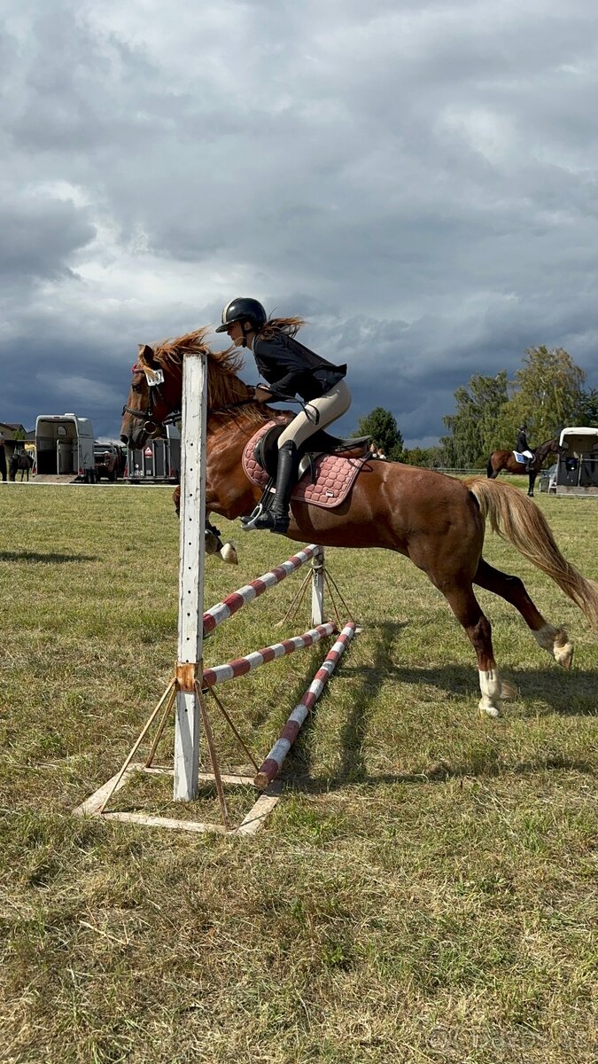 WPBR kobyla i pro začátečníky - 17