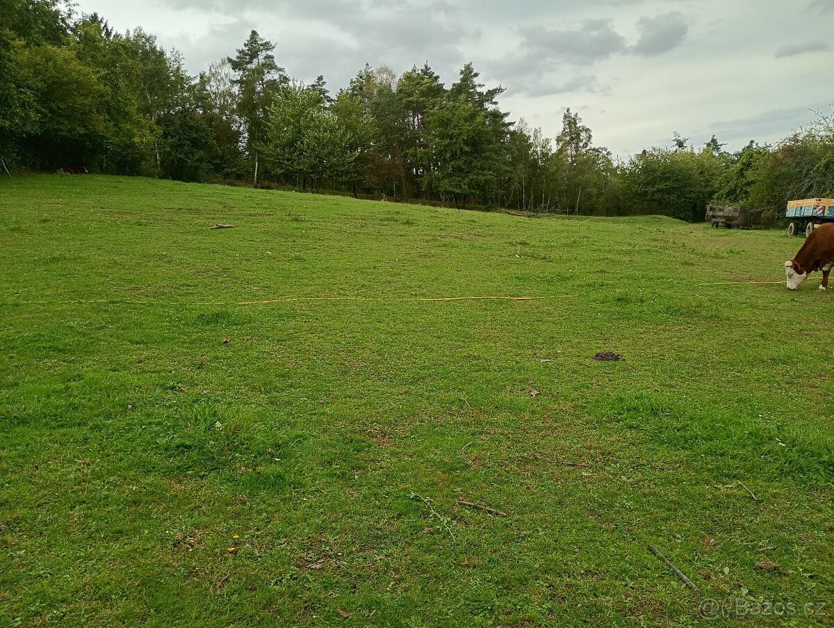 Zahrada v intravilánu obce, výměra: 7.428 m2. - 17