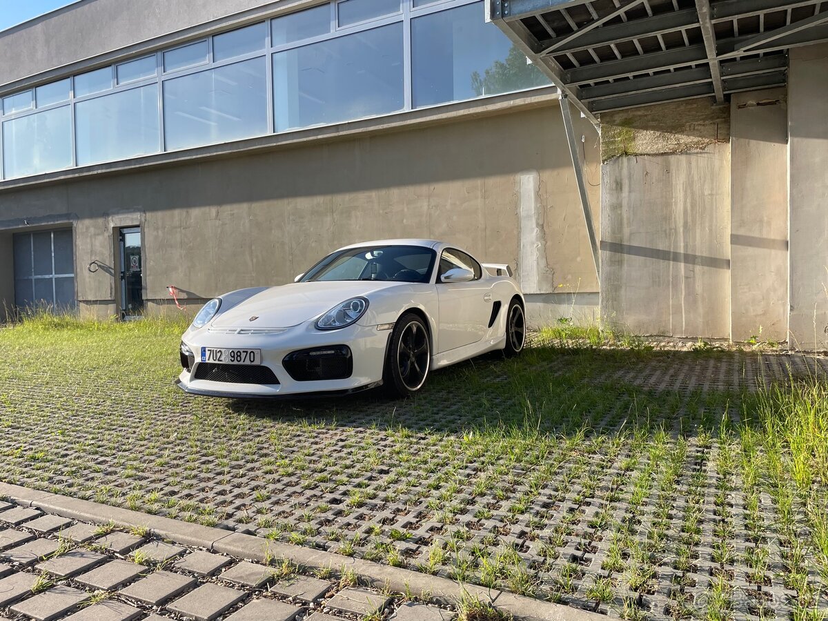 Porsche Cayman GT4/987 "Panda" Techart - 17