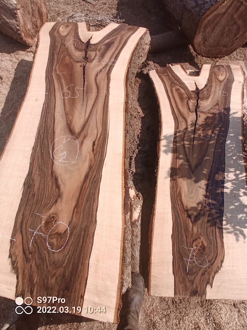 Super tmavé ořechové XXXL fošny a koláče - 17