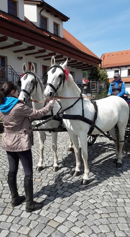 Postroje na prodej - 17