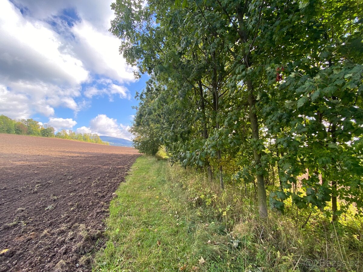 Lesní pozemek a pozemek ostatní plocha Horní Lánov - 17