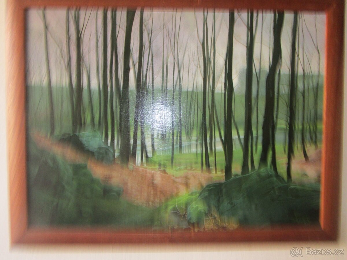 RUČNĚ MALOVANÉ OBRAZY-VÁNOČNÍ SLEVA - 17