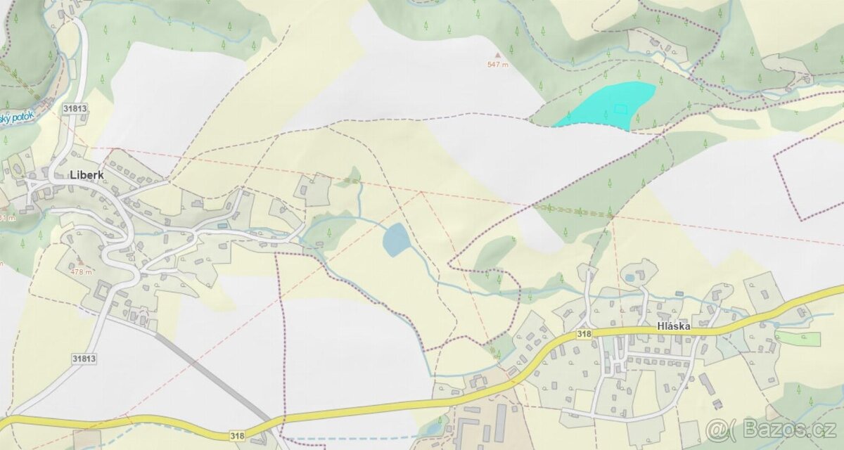 Prodej lesního pozemku v k.ú. Liberk - 17