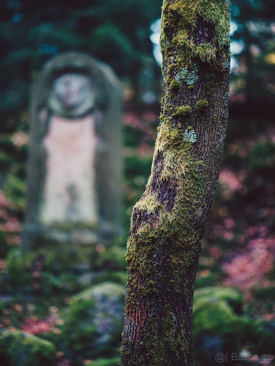 TOP Sony Alpha A7 II + Zeiss Batis 85mm f/1.8 - 17