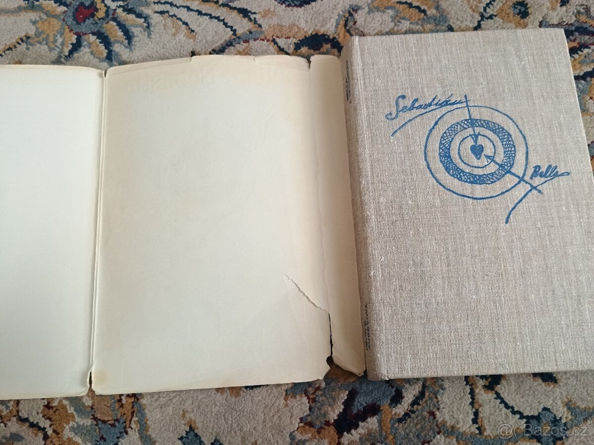 Cécile Aubry: Bella a Sebastián - 17