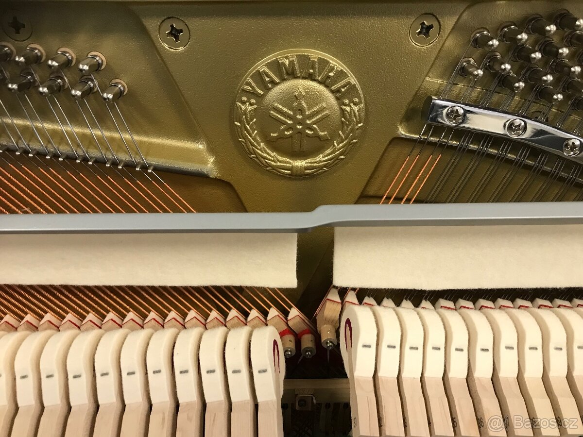 Yamaha B3 se zárukou 5 let, včetně 1. servisu a dopravy - 17