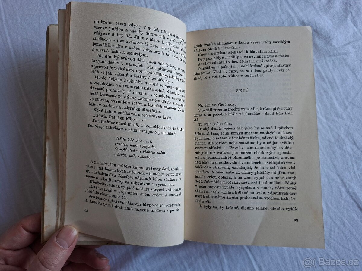 Rok na vsi kronika moravské dědiny - 17