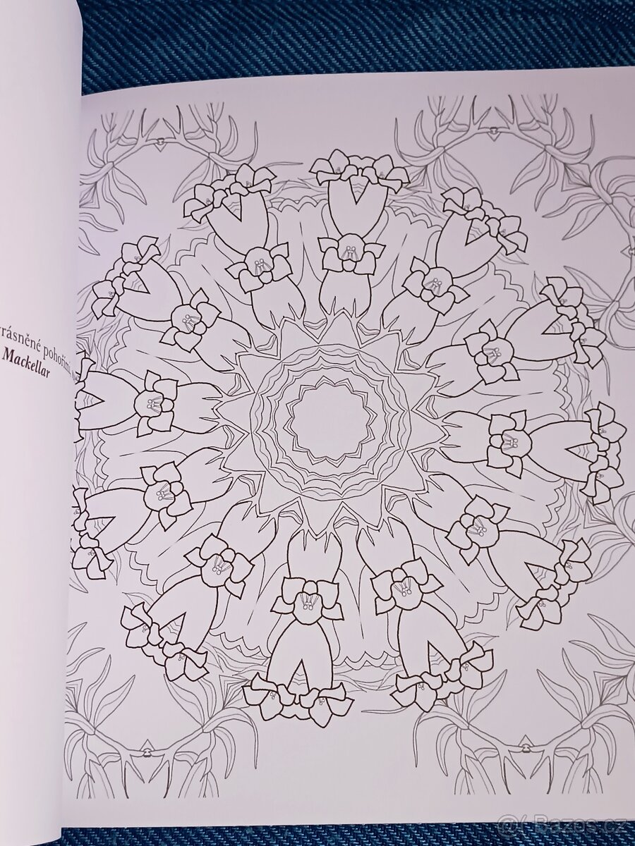 Omalovánky pro dospělé: Inspirativní a ............. - 17