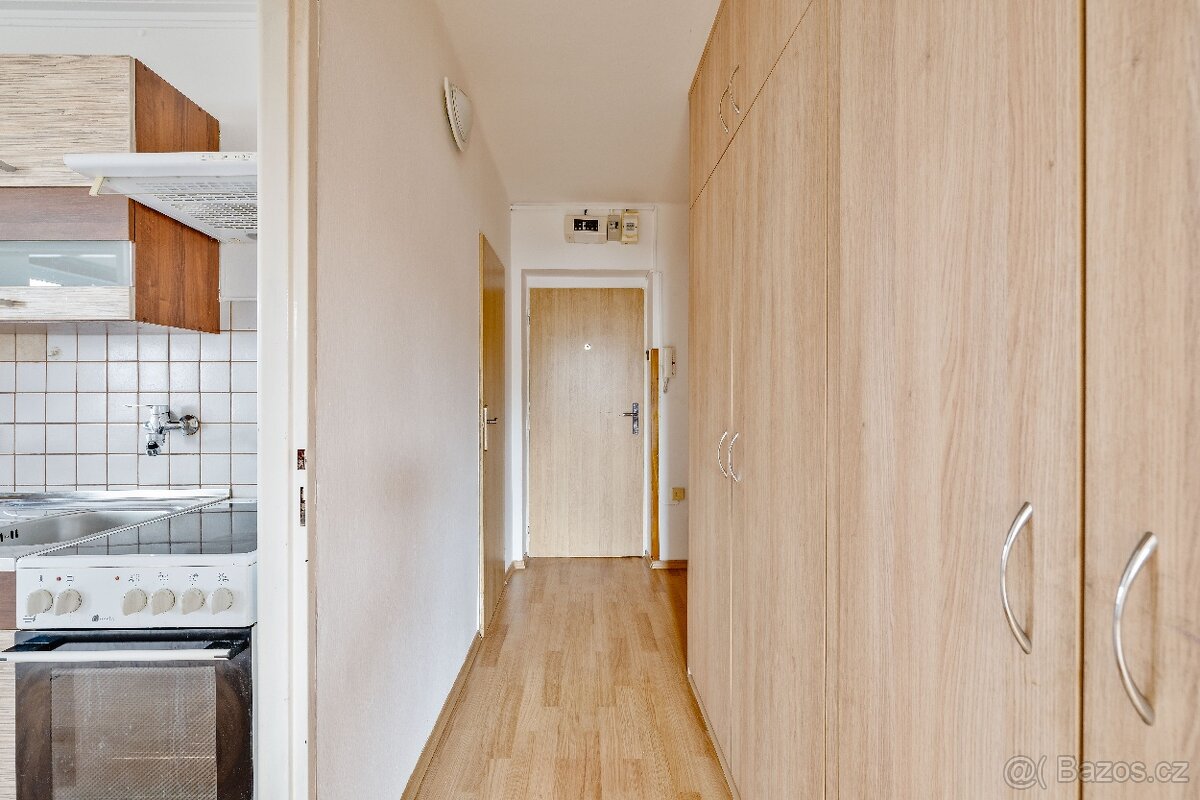 Byt 3+1 v Písku - 17