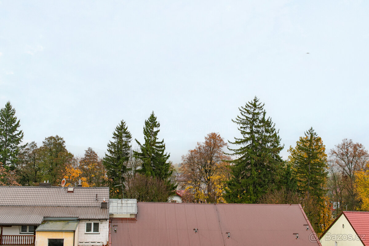 Prodej bytu 2 + 1, 64 m² Jiráskova, Nýrsko - 17