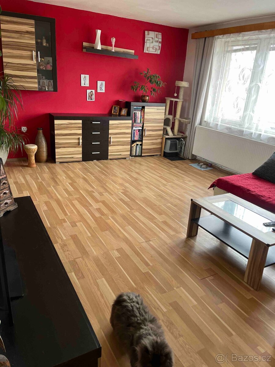 Prodej RD Moravský písek - 17