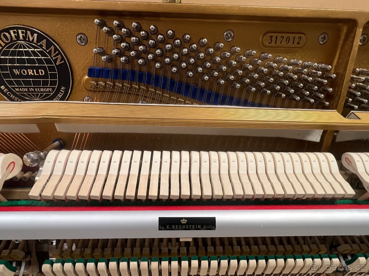 W.Hoffmann - Bechstein mod. 117 se zárukou 5 let. - 17