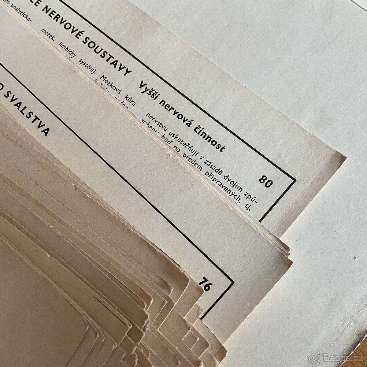 Retro- Biologie člověka v obrazech- A4 - 17