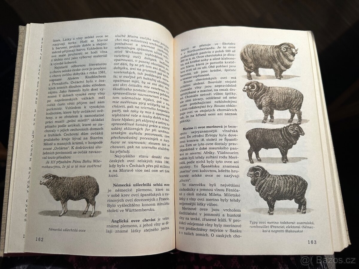 Světem zvířat - 17