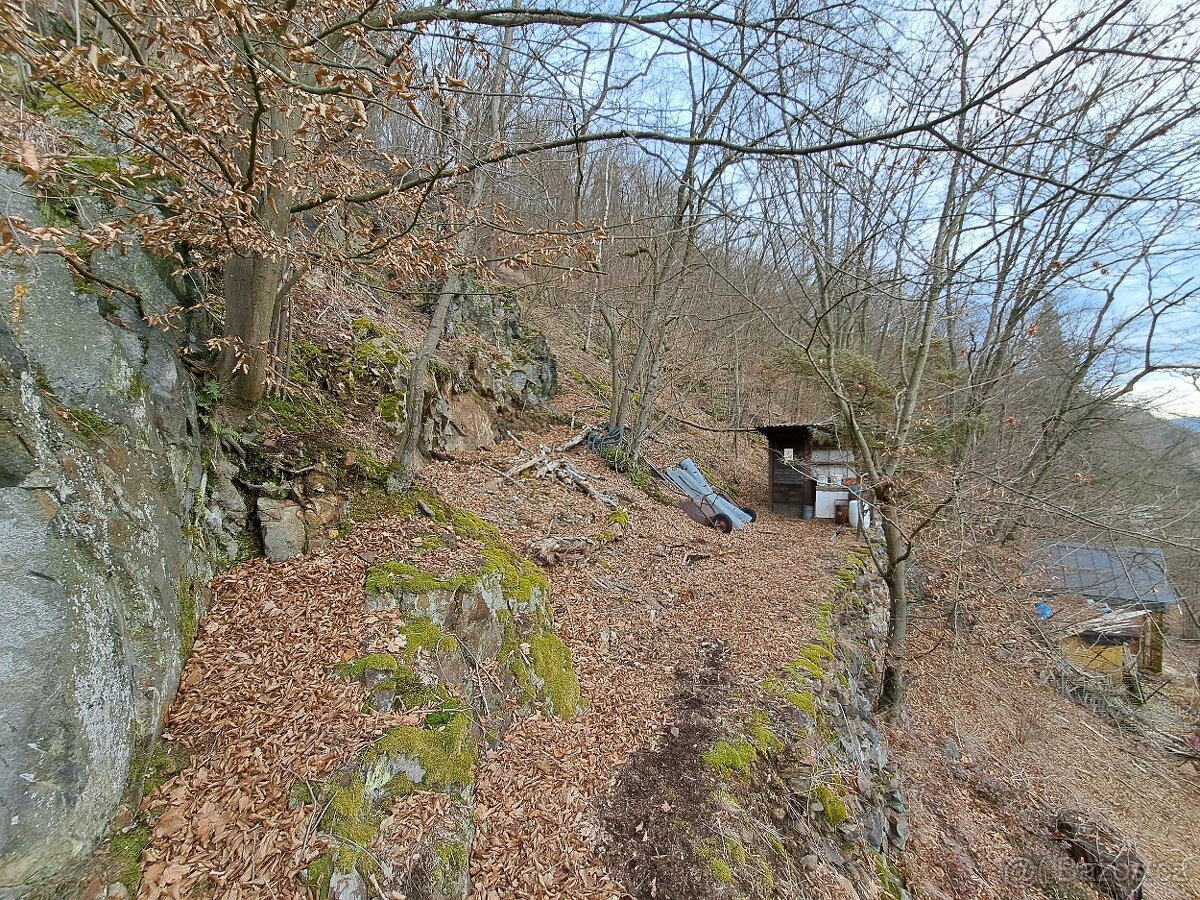 Srub nad Sázavou 3+kk, 74m2, pozemky 1140 m2, Kaliště - 17