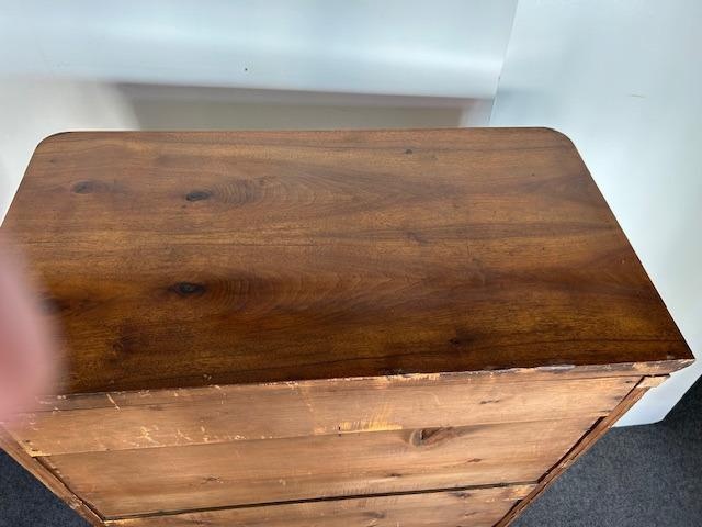 Skleník biedermeier - originál. - 17