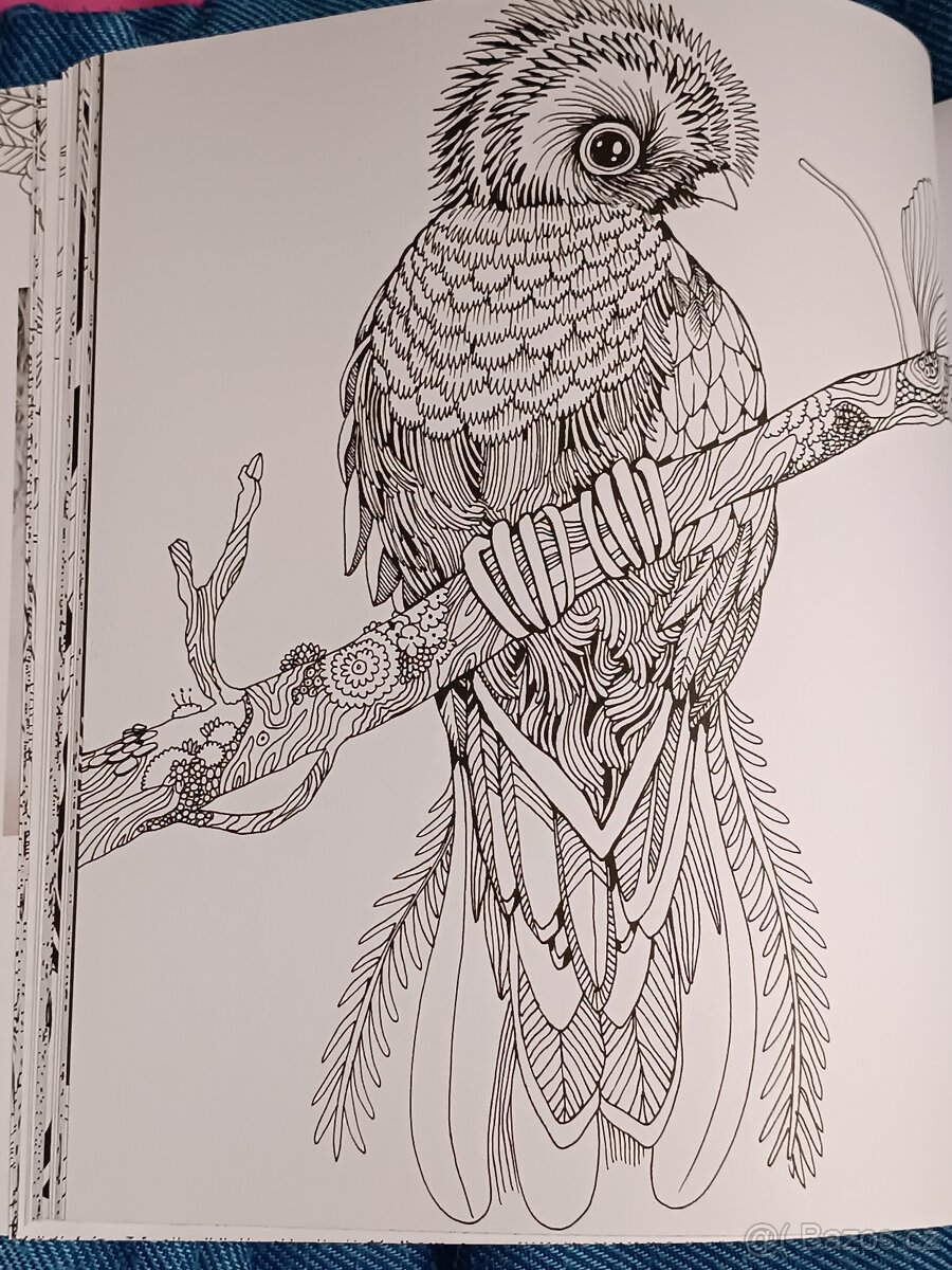 Omalovánky pro dospělé Exotický prales - 17