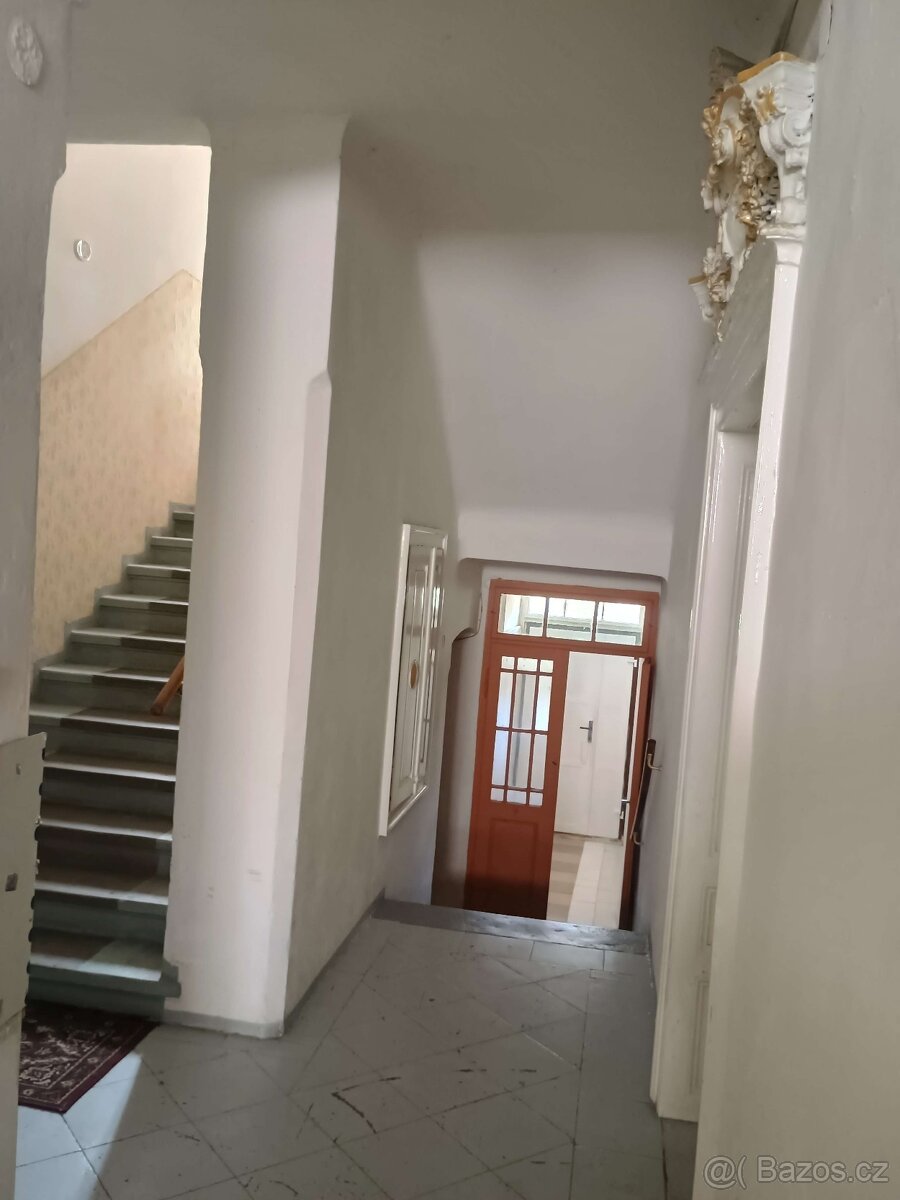 Pronájem 1+1 České Budějovice, Skuherského na Pražském předm - 17