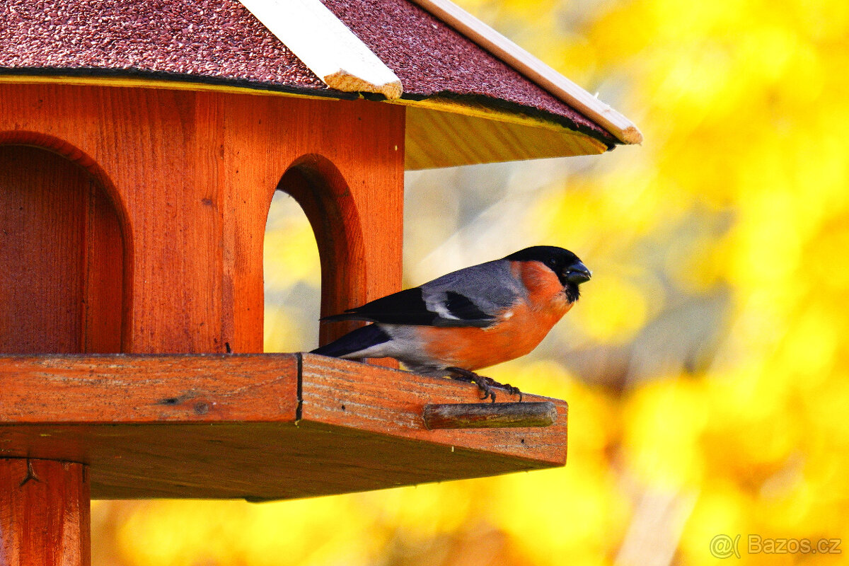 Sony FE 200-600mm + neopren Rolanpro + UV STAV NOVÉHO - 17