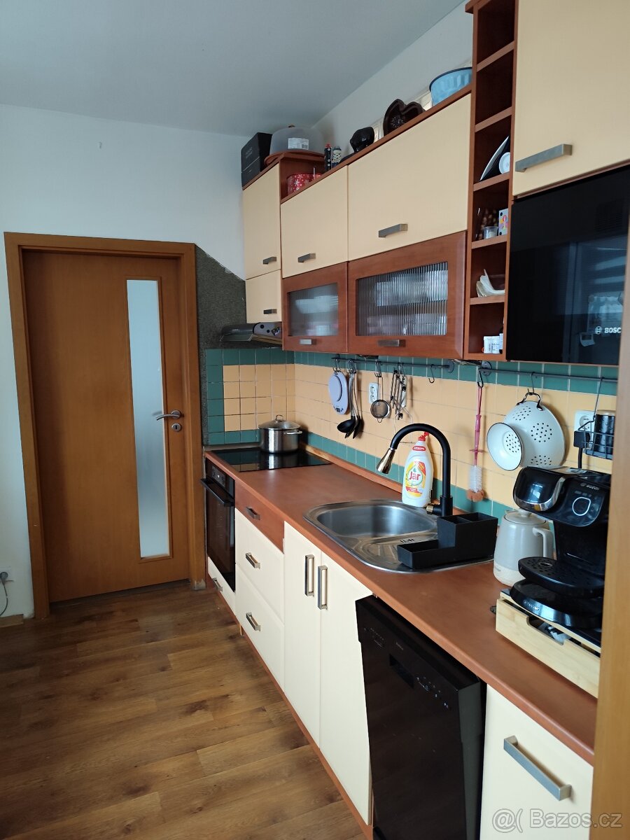 Byt 3+1 Chaloupky - 17