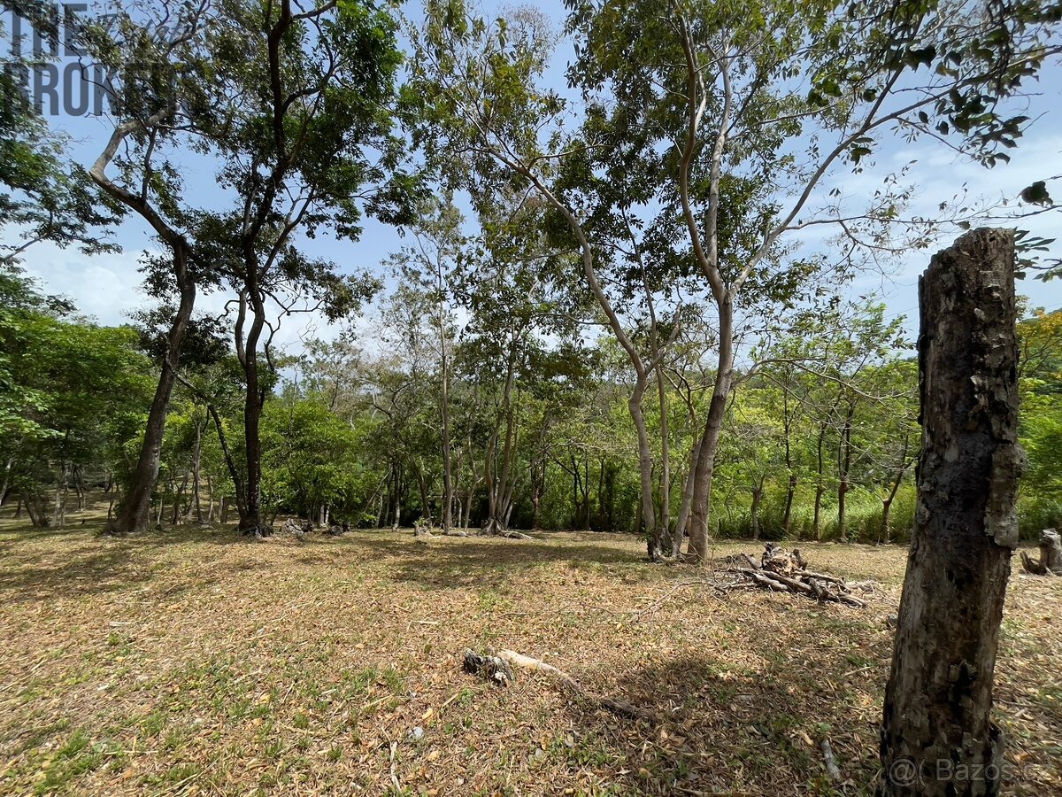 Lot 1 Bodden Bight Estate, Roatan - 17