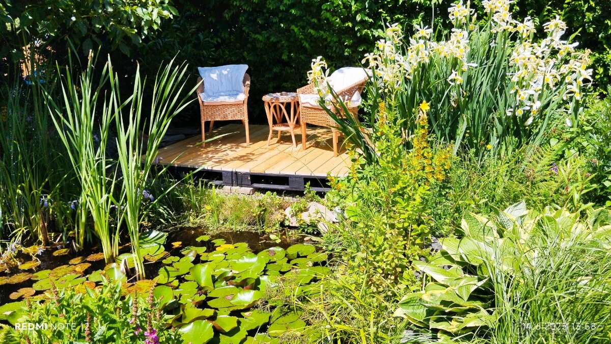 Chata se zahradou - 17