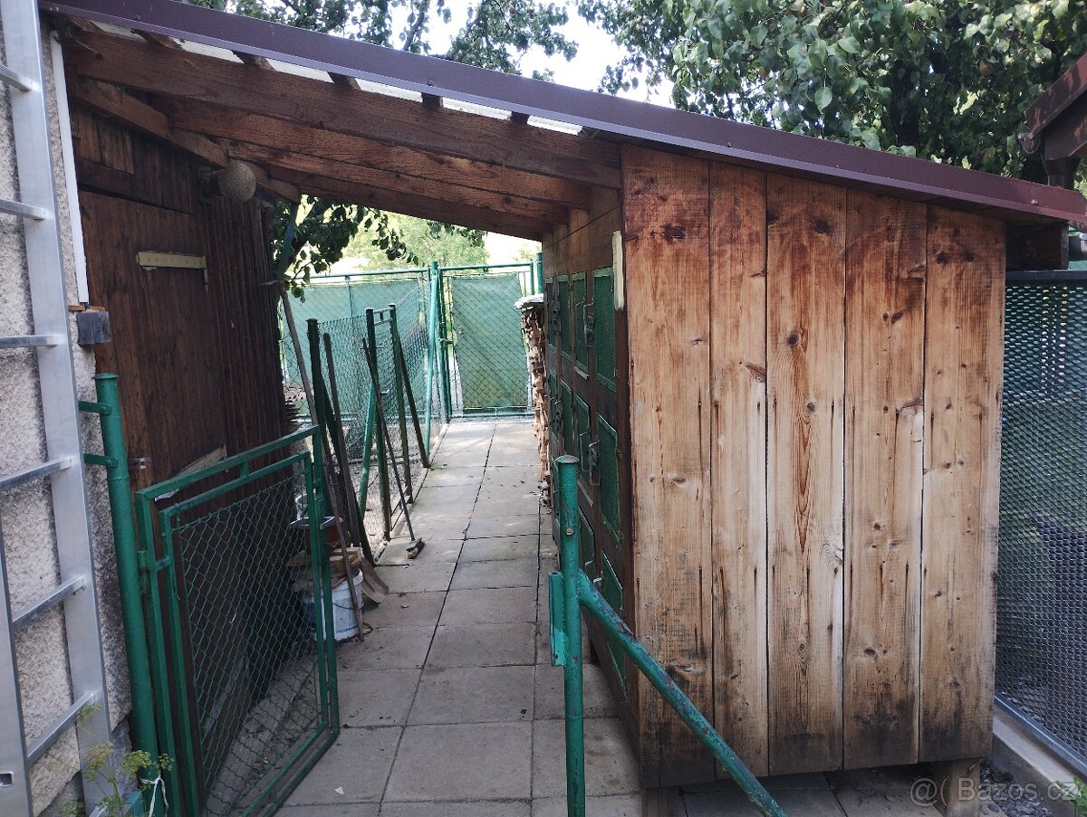 Kralikarna, kotce. - 17