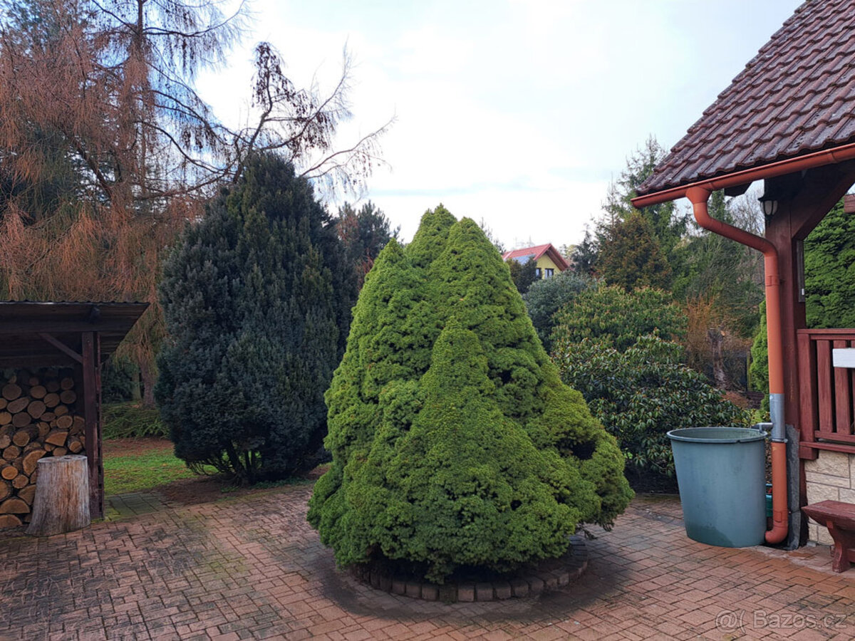 Chata k trvalému bydlení - Zlenice - 17