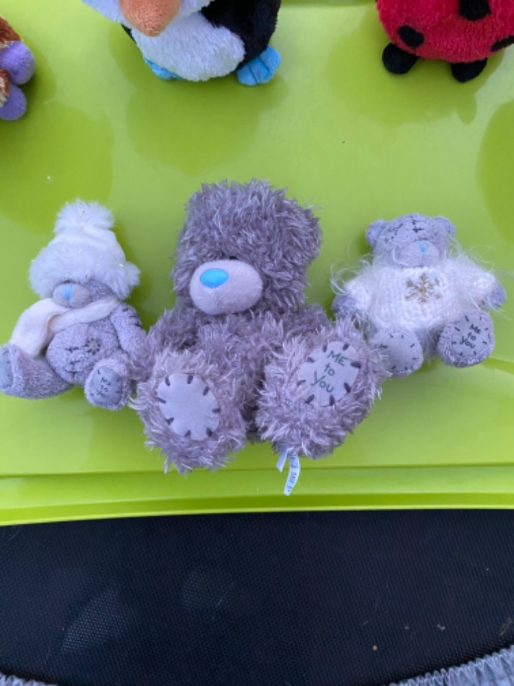 Plyšáci různí - super velcí i malí - 17